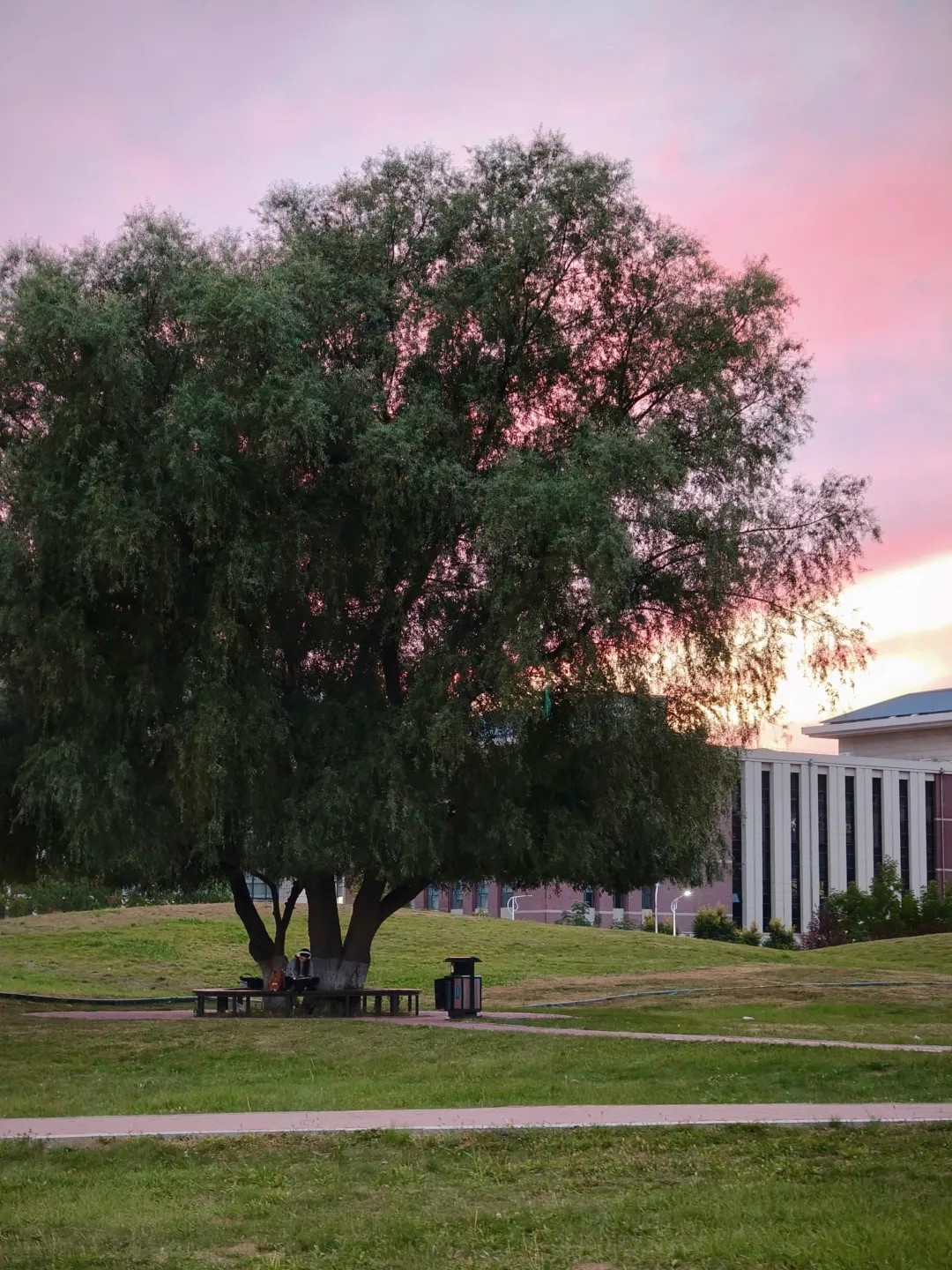 2025年“朋辈协力·心理成长”系列活动——禁漫天堂下载
研究生成功开展两院联动“光影寻静，破‘卷’而出”随手拍大赛